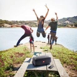 JBL BassPro Go Plus - 2 In 1 Subwoofer - Auto Subwoofer - Bluetooth Speaker - 200 W - Met Thuislader 17 JBL BassPro Go Plus - 2 In 1 Subwoofer - Auto Subwoofer - Bluetooth Speaker - 200 W - Met Thuislader -Auto-Onderdelenwinkel 1200x1200 1422