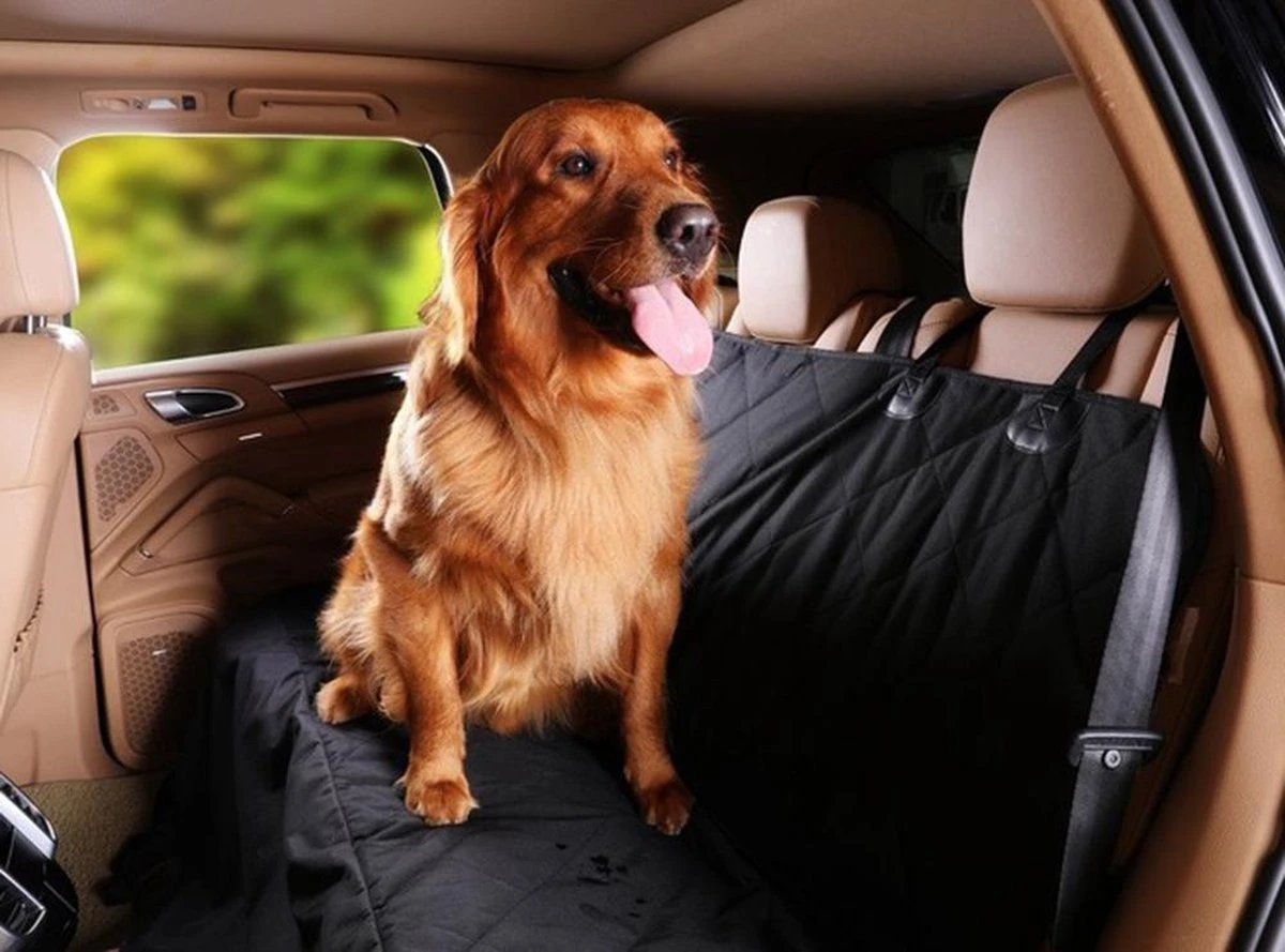 Lowander Achterbank Beschermhoes Hond - Kofferbak Auto - 145x165 Cm - Hondendeken Stoelhoes 4 Lowander Achterbank Beschermhoes Hond - Kofferbak Auto - 145x165 Cm - Hondendeken Stoelhoes - Afbeelding 2